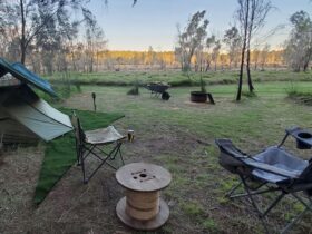 Book Geckos Getaway... Two person tent (or 1 person and 2 dogs), fire wood and YOU. Already set up waiting for your sleepover. Please contact your host if you wish to hire the tent. An extra charge will apply and you will need to supply your own bedding.