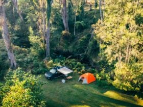 campsite from above