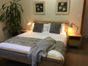 queen bed in the studio apartment