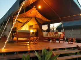 Glamping - Luxury Safari Tent Accommodation