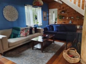 Living room and sofabed