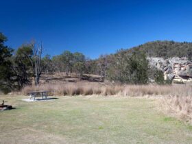Spring Gully campground, Goulburn River National Park. Photo: Nick Cubbin/NSW Government