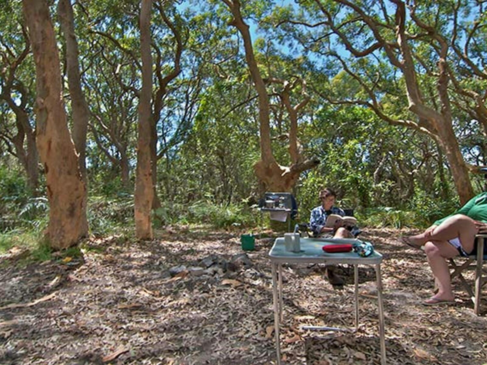 Stewart and Lloyds campground, Myall Lakes National Park. Photo: John Spencer/NSW Government