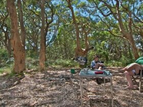 Stewart and Lloyds campground, Myall Lakes National Park. Photo: John Spencer/NSW Government