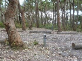 Sunburnt Beach campground. Photo: Meghan Kempster/NPWS