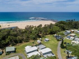 Surfside Cudmirrah Beach Aerial showing camp sites 3-6, direct access via the bush track to beach