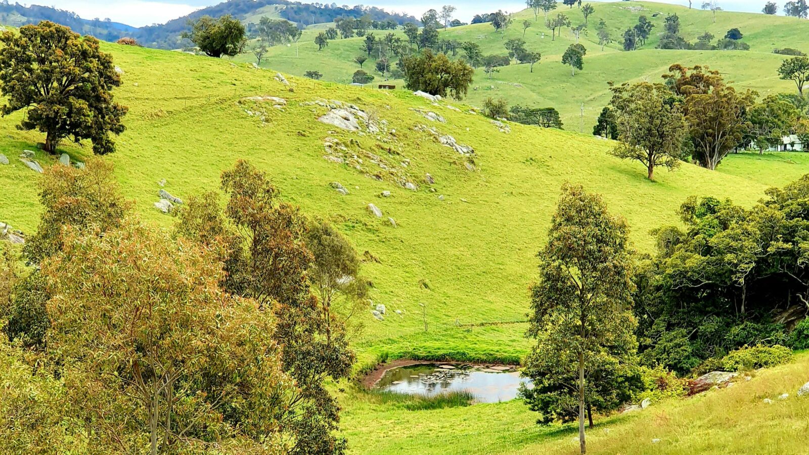 Talisman Bushcamp