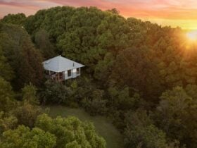 An aerial photo of a cabin amongst the trees as the sun is setting