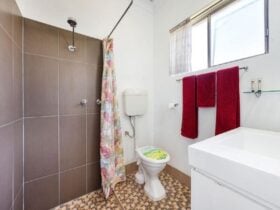 Photo of bathroom showing easy access to the shower and toilet