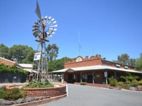 Merool Front Office and Windmill