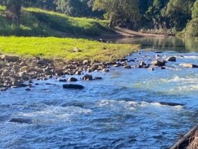 We call this the Rapid Bar a great part of the Creek to camp next to. We have table and chairs set up along side.