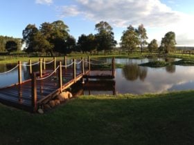 Dam and jetty
