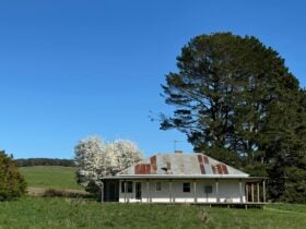 Cottage with veranda in paddock