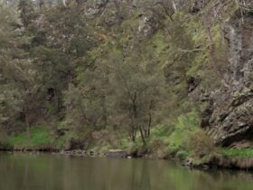 The Beach campground, Abercrombie River National Park. Photo: NSW Government