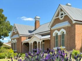 Grand house with two gables, and lavender in foreground