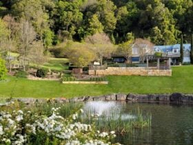 Large pond and gardens