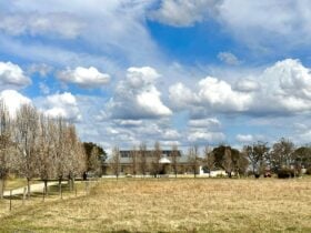 spring