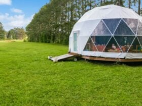 The Freedom Organic Farm