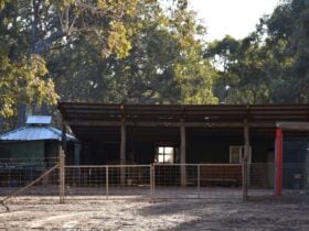 The Gateway-Hargraves Bushland