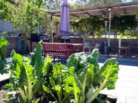 Barbecue area