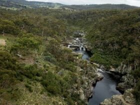 The Lodge at Tinneburra