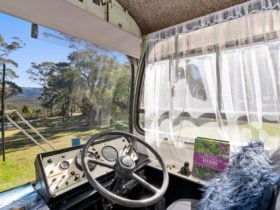 The Old School Bus
