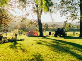 golden hour light at the camp