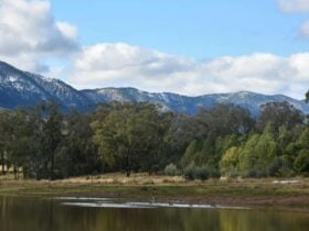 The Valley