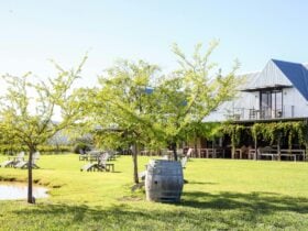 Vine Loft at Yeates Wines, Mudgee NSW - Cam Anderson Architects