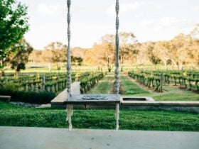 Swing