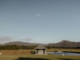 A view of the Brokenback Mountain range at The Wellness Farm Hunter Valley