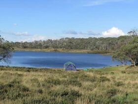 Three Mile Dam campground, Kosciuszko National Park. Photo: Elinor Sheargold/DPIE