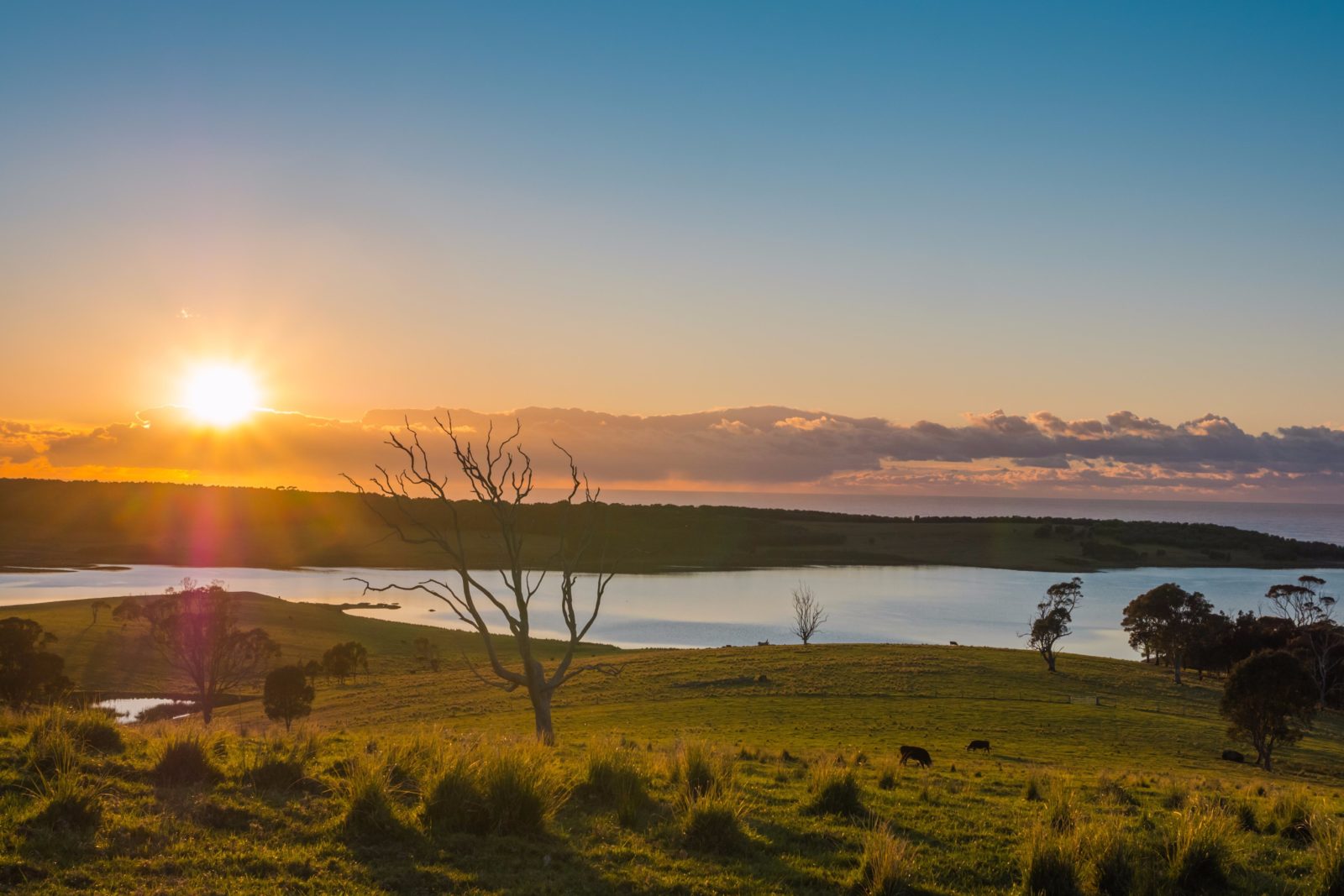 Views over the Pacific Ocean & Tilba Lake