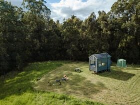 Tiny Home