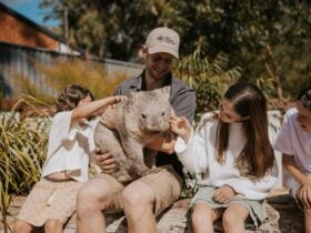 Wombat