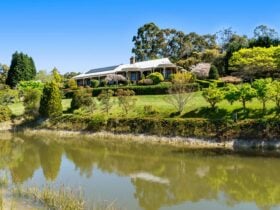 House and dam