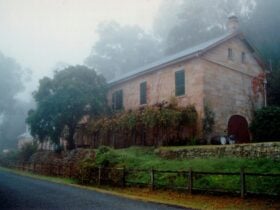 Tizzana shrouded in mist