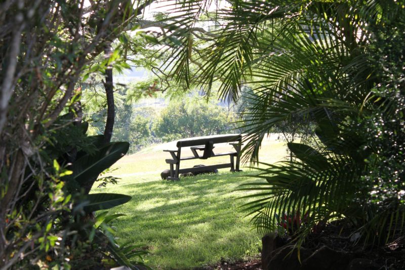 Property views