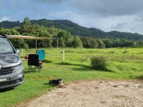 Tweed Valley Farmhouse Cheeses
