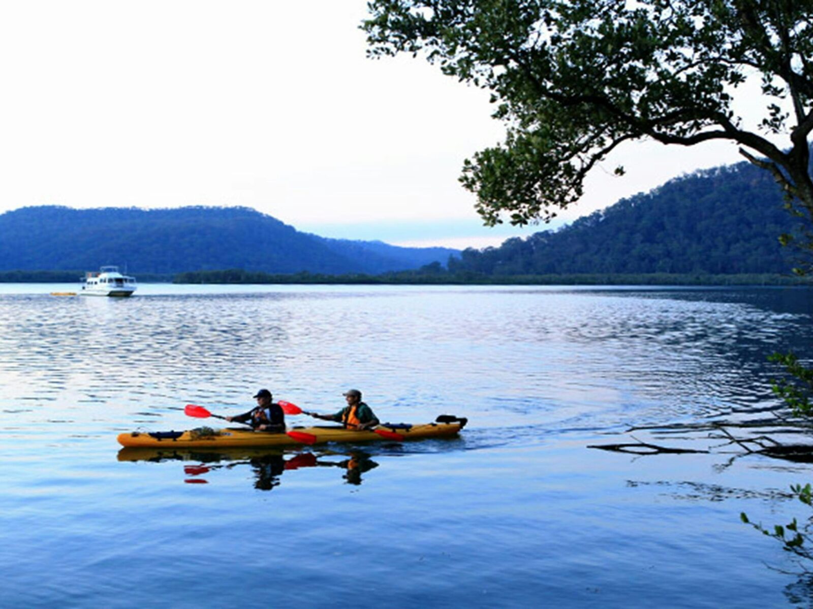 Hawkesbury River scene of 2 kayakers in a double kayak, with a river boat in the distance. Photo: