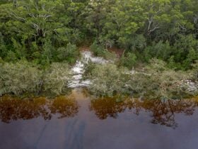 Aerial view of Two Mile Sands campground in Myall Lakes National Park. Photo: John Spencer ©