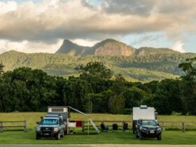 Caravan park with a view of Mt. Warning