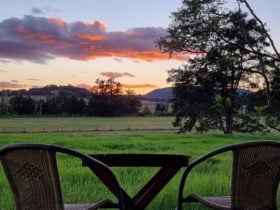 Dawn at Vacu Hunter Valley Lodge