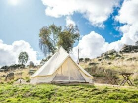 Valley Views Glamping Tent - La Paloma Farm edit1