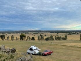 Wagga Bundaleer