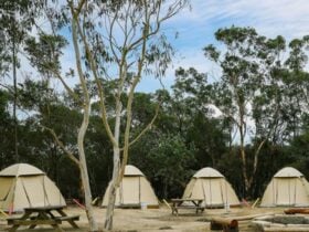 Walkabout Wildlife Sanctuary