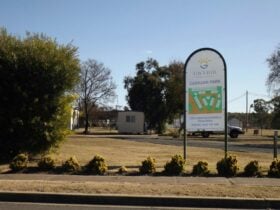 Warialda Caravan Park