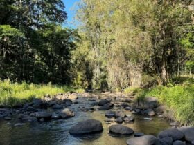 Warrazambil Creek Camp