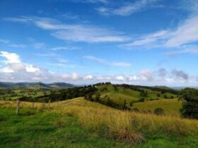 Dungog Scenery