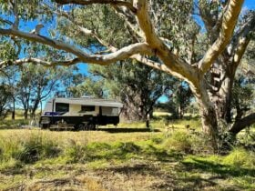 Caravan onsite